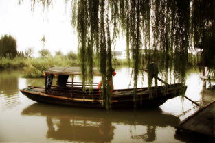 沙家浜一日游 沉浸紅色經典，盡享水鄉風情